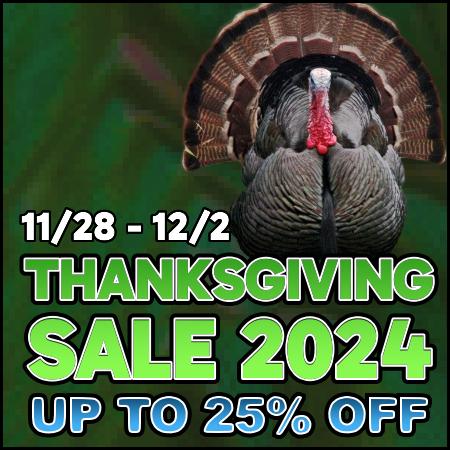 Black Friday 2024