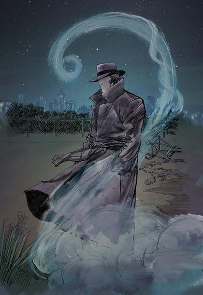 QUESTION ALL ALONG THE WATCHTOWER #6 (OF 6) CVR C DENYS COWAN CARD STOCK VAR (PRE-ORDER: 04/30/2025)