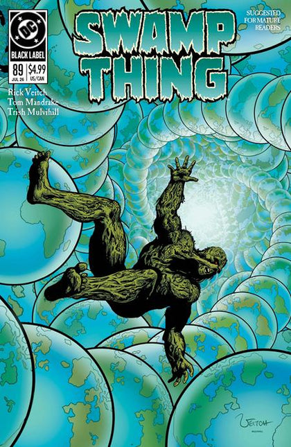 SWAMP THING 1989 #2 (OF 4) CVR A RICK VEITCH (PRE-ORDER: 05/27/2026)