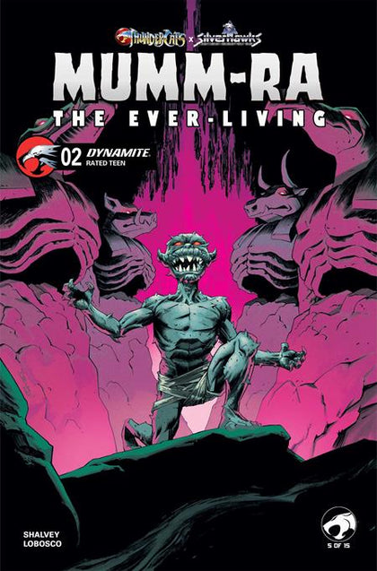 MUMM RA THE EVER LIVING #2 CVR B DECLAN SHALVEY VAR (PRE-ORDER: 05/20/2026)