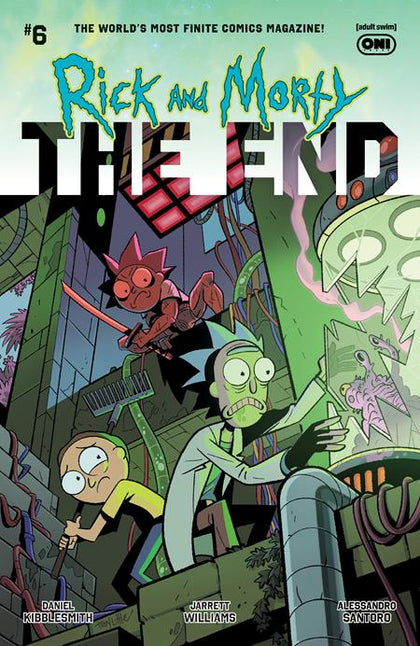 RICK AND MORTY THE END #6 (OF 6) CVR B TROY LITTLE VAR (PRE-ORDER: 05/13/2026)