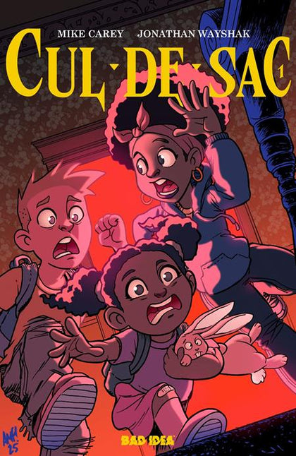 CUL DE SAC #1 (OF 4) CVR B TONY FLEECS CURSED MIRROR VAR (PRE-ORDER: 08/06/2025)