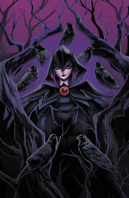 DCS QUOTH THE RAVEN WHATEVER #1 (ONE SHOT) CVR A SWEENEY BOO (PRE-ORDER: 09/30/2026)