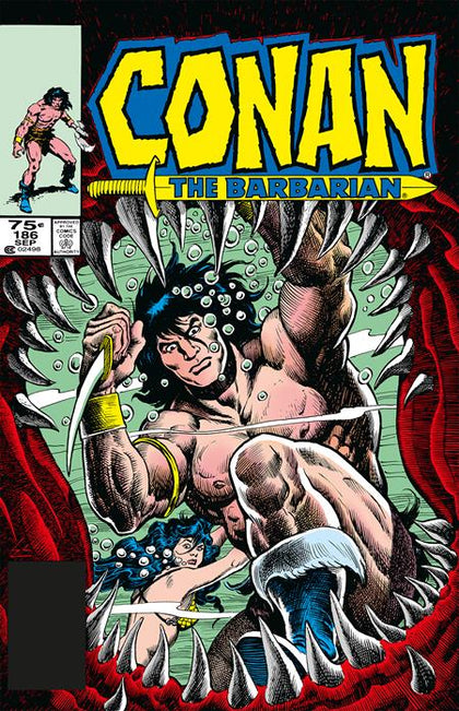 CONAN THE BARBARIAN THE ORIGINAL COMICS OMNIBUS HC VOL 07 REGULAR EDITION MIKE DOCHERTY (PRE-ORDER: 11/26/2025)