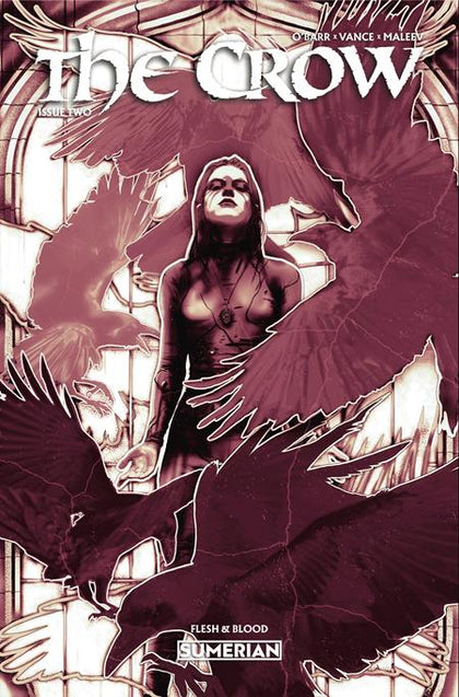 CROW FLESH AND BLOOD #2 CVR A LUCAS PEVERILL (PRE-ORDER: 11/11/2026)