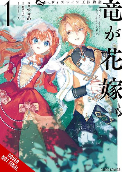 TALE OF THE WIZRAIN KINGDOM THE DRAGON IS THE BRIDE TP VOL 01 (PRE-ORDER: 11/25/2026)