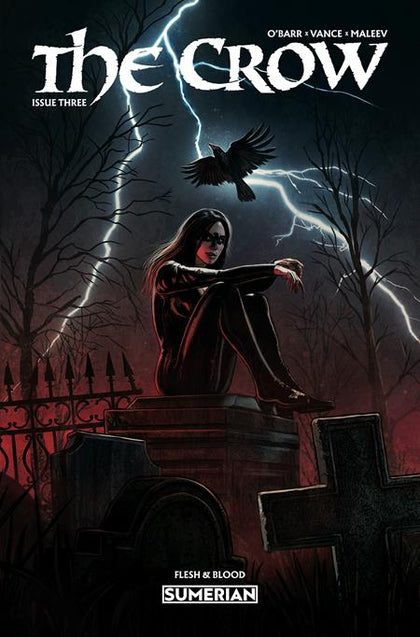 CROW FLESH AND BLOOD #3 CVR A EDUARDO SCHAAL (PRE-ORDER: 12/09/2026)