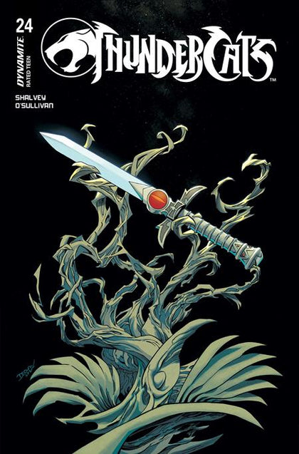 THUNDERCATS #24 CVR B DECLAN SHALVEY VAR (PRE-ORDER: 02/25/2026)