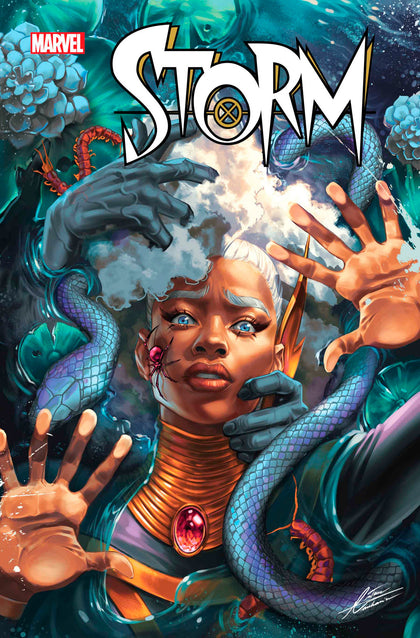 Storm #2 (PRE-ORDER: 11/20/2024)