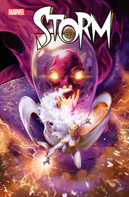 STORM #5 (PRE-ORDER: 02/19/2025)