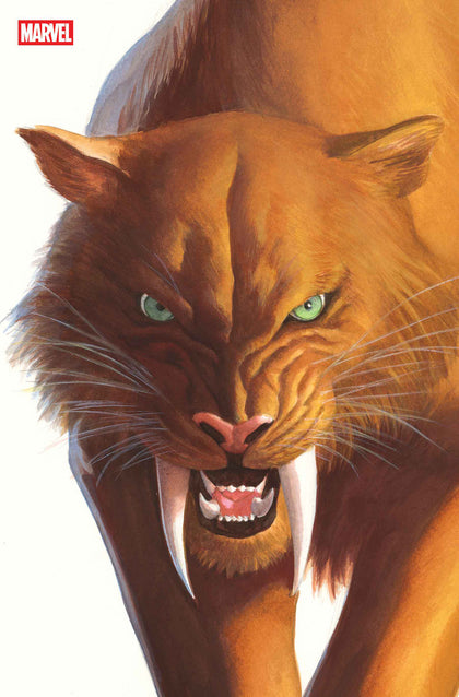 BLACK CAT #2 ALEX ROSS TIMELESS VIRGIN VARIANT (PRE-ORDER: 09/24/2025)