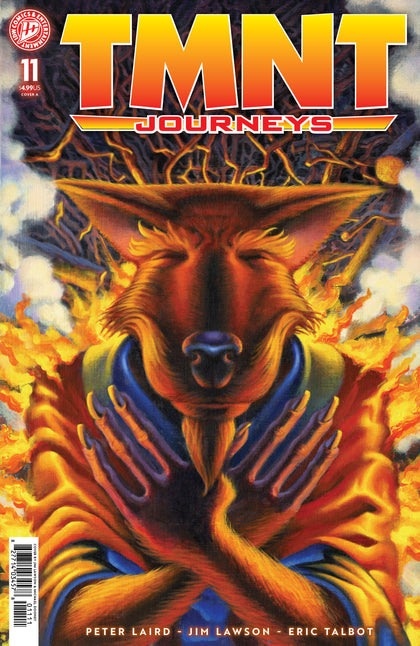 TMNT: Journeys #11 Cover A (Dooney & Lawson) (PRE-ORDER: 07/01/2026)