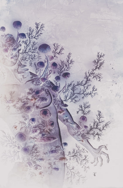 In Bloom #4 B Variant (Dressed, Templesmith) (PRE-ORDER: 05/07/2025)