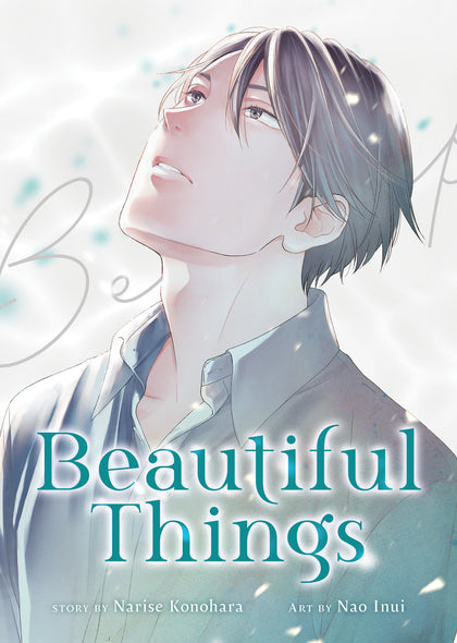 Beautiful Things: The Complete Manga Collection (PRE-ORDER: 12/17/2024)