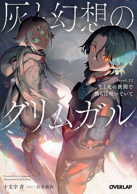 Grimgar of Fantasy and Ash (Light Novel) Vol. 22 (PRE-ORDER: 01/26/2027)